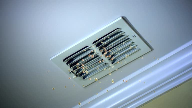 Best HVAC Duct Inspection Services  in Appleton, WI