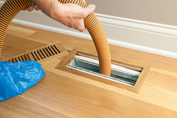 Best Air Vent Cleaning Services  in Appleton, WI