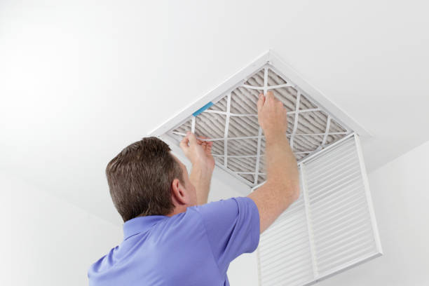 Best Air Duct Sanitizing Services  in Appleton, WI